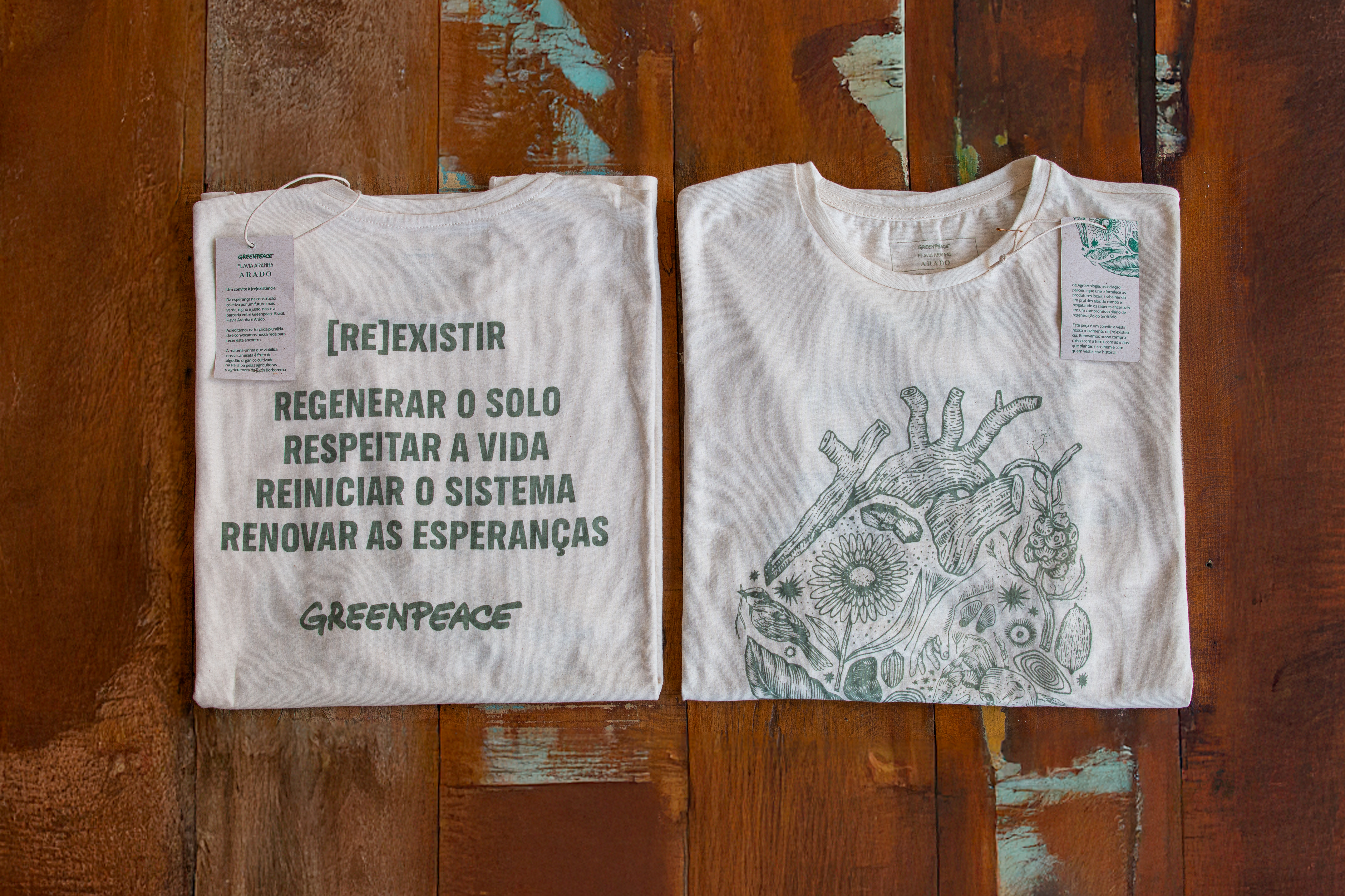 Greenpeace Brasil, “Um convite à [re]existência”