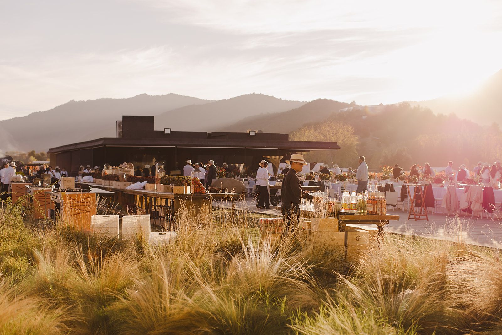 Vendimia/2026 da VIK acontece no Chile